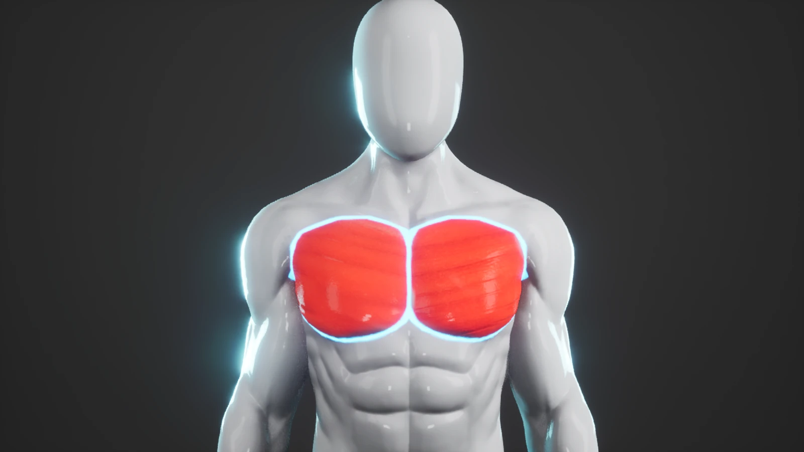 Visualización 3D de zonas musculares para GUUD