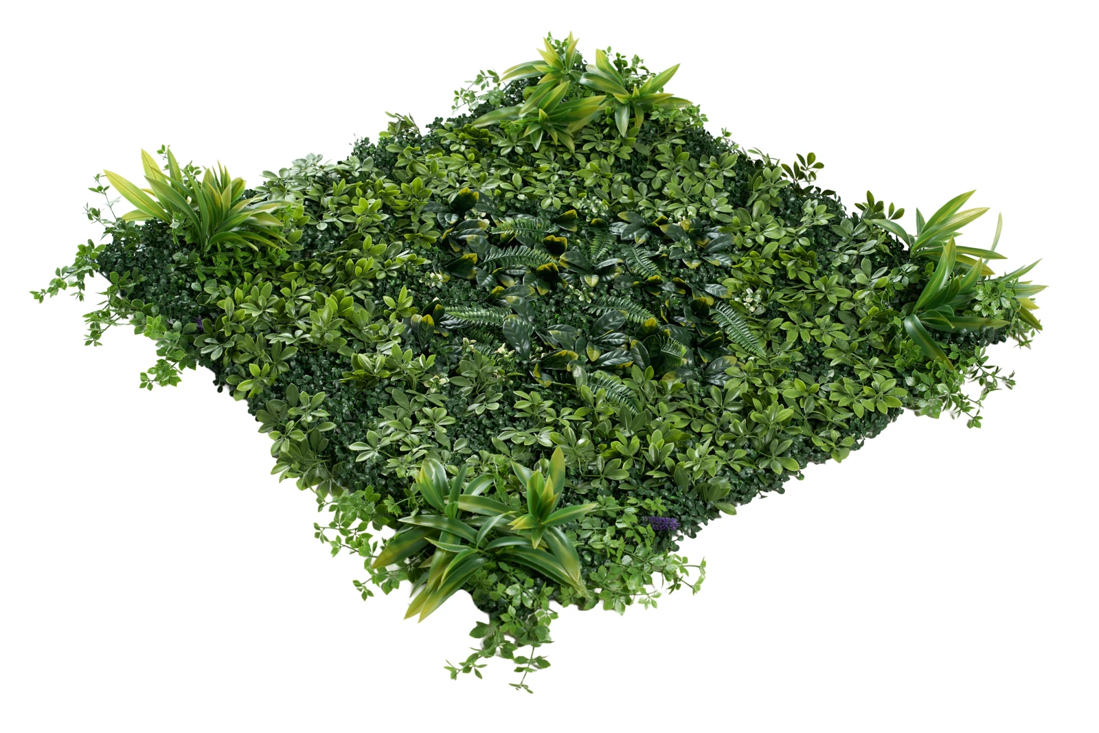 Fotografía de producto de un panel de muro verde de TERZA